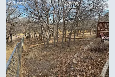 690 Meadow Lane, Palmer Lake, CO 80133 - Photo 22