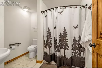 619 Golden Cycle Circle, Cripple Creek, CO 80813 - Photo 28