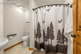 619 Golden Cycle Cir, Cripple Creek, CO 80813 - Photo 28