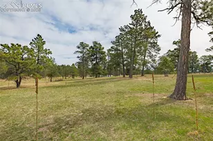 13354 N Meridian Rd, Elbert, CO 80106 - Photo 26