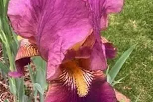 435 W Woodmen Rd, Colorado Springs, CO 80919 - Photo 46