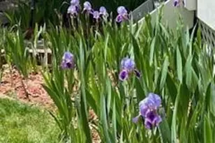 435 W Woodmen Rd, Colorado Springs, CO 80919 - Photo 44