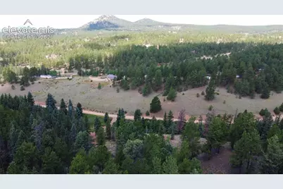 1570 Pathfinder Road, Florissant, CO 80816 - Photo 12
