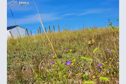 23712 Redtail Drive, Colorado Springs, CO 80928 - Photo 6