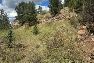 County Road 1, Cripple Creek, CO 80813 - Photo 1