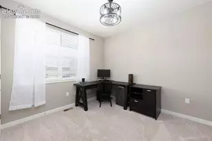 16474 Alpine Sorrel Dr, Monument, CO 80132 - Photo 22