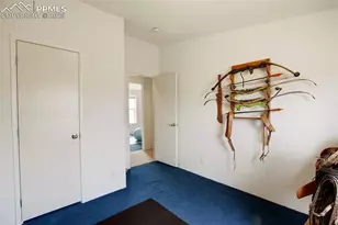 463 Snowshoe Ln, Lake George, CO 80827 - Photo 38