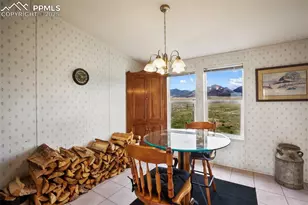 463 Snowshoe Ln, Lake George, CO 80827 - Photo 20