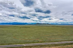 463 Snowshoe Ln, Lake George, CO 80827 - Photo 44