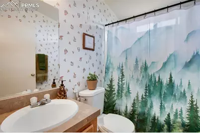 463 Snowshoe Lane, Lake George, CO 80827 - Photo 30