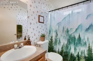 463 Snowshoe Ln, Lake George, CO 80827 - Photo 30