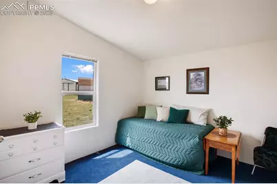 463 Snowshoe Lane, Lake George, CO 80827 - Photo 34