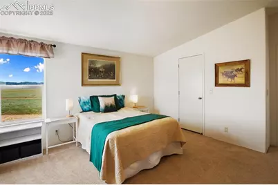 463 Snowshoe Lane, Lake George, CO 80827 - Photo 26