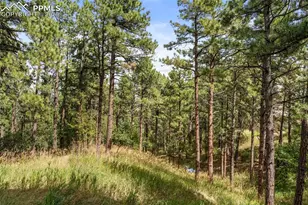 17 Midland Rd, Colorado Springs, CO 80906 - Photo 38