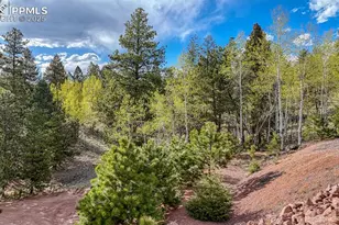 318 Southgate Rd, Florissant, CO 80816 - Photo 42