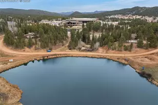 18 Holiday Dr, Woodland Park, CO 80863 - Photo 36