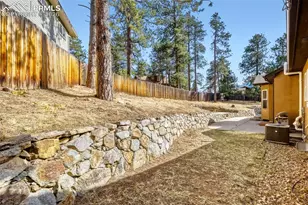 4519 Edwards Pl, Cascade, CO 80809 - Photo 36