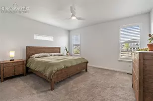 4173 Captain Jack Ln, Colorado Springs, CO 80924 - Photo 18