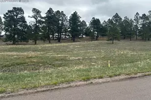 11072 Mosey Trl, Colorado Springs, CO 80908 - Photo 1