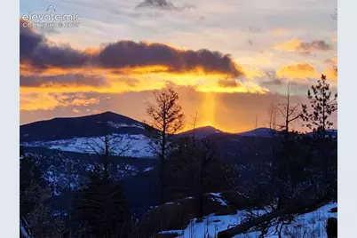 57 Fir Lane, Florissant, CO 80816 - Photo 42