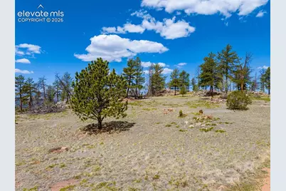 57 Fir Lane, Florissant, CO 80816 - Photo 36