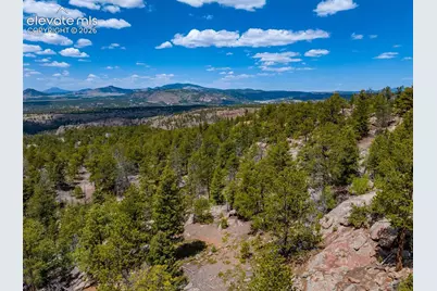 57 Fir Lane, Florissant, CO 80816 - Photo 46