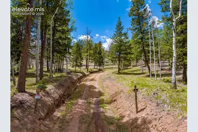 57 Fir Lane, Florissant, CO 80816 - Photo 6