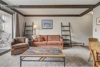 107 Harris Street #209, Breckenridge, CO 80424 - Photo 18