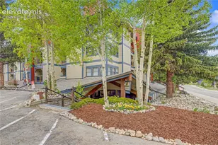 107 Harris Street, Breckenridge, CO 80424 - Photo 26