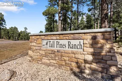 18825 Pagentry Place, Monument, CO 80132 - Photo 10