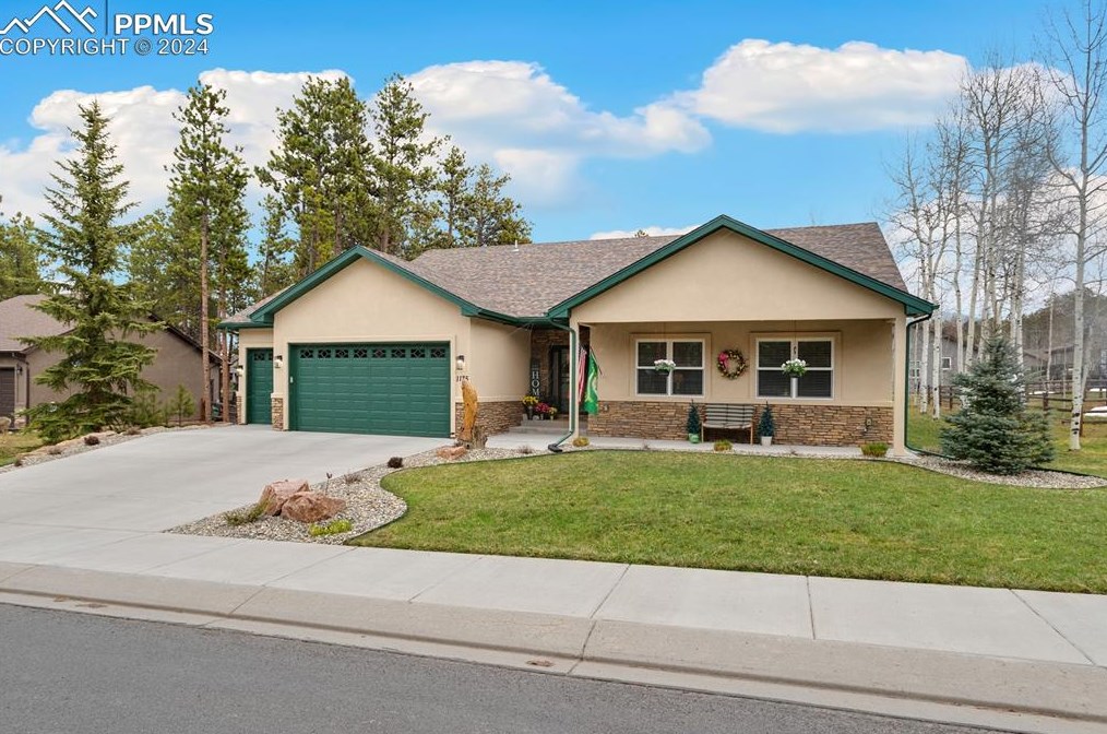 1175 Ptarmigan Dr, Woodland Park CO 80863-8004 exterior