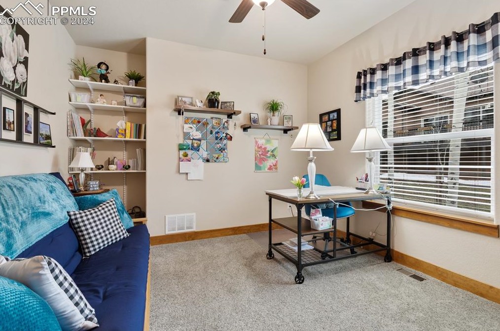 1175 Ptarmigan Dr, Woodland Park CO 80863-8004 exterior