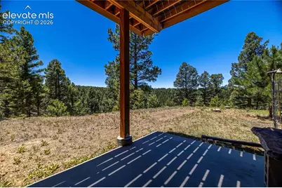 161 Wahsatch Road, Florissant, CO 80816 - Photo 30