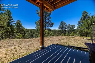 161 Wahsatch Rd, Florissant, CO 80816 - Photo 30