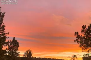 161 Wahsatch Rd, Florissant, CO 80816 - Photo 32