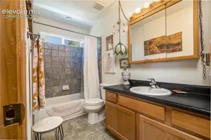 161 Wahsatch Rd, Florissant, CO 80816 - Photo 22