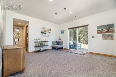 161 Wahsatch Road, Florissant, CO 80816 - Photo 28