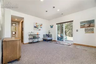 161 Wahsatch Rd, Florissant, CO 80816 - Photo 28