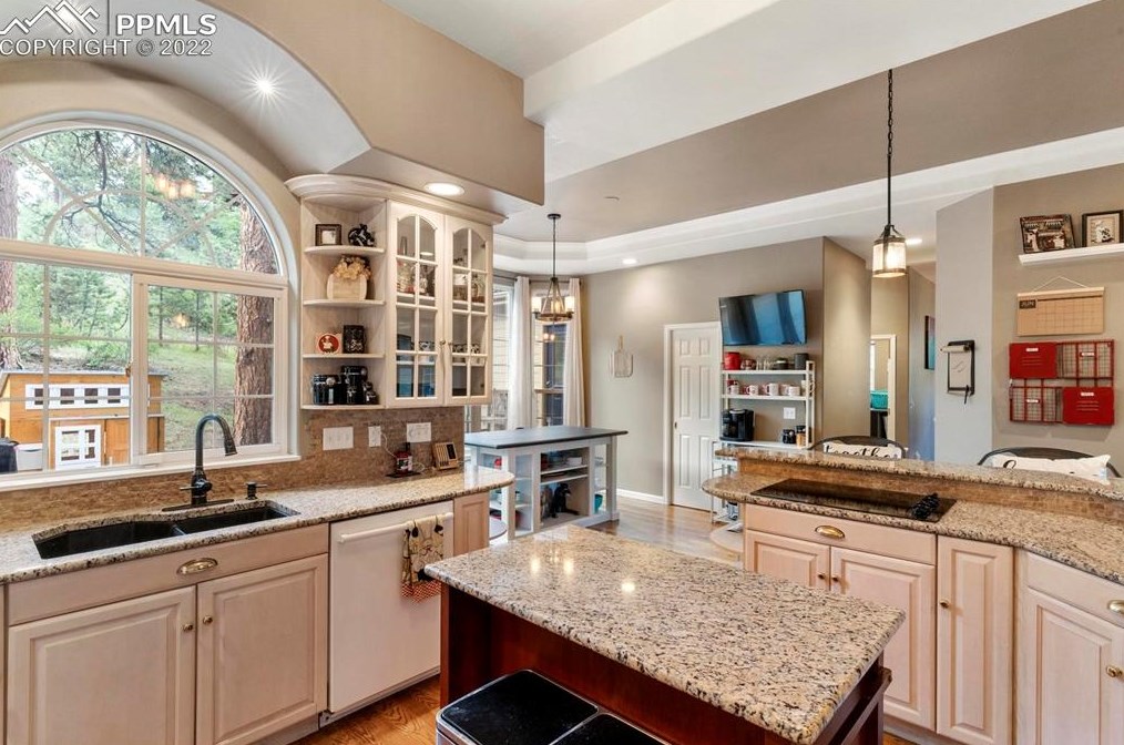 1000 Sun Valley Dr, Woodland Park CO 80863-9076 exterior