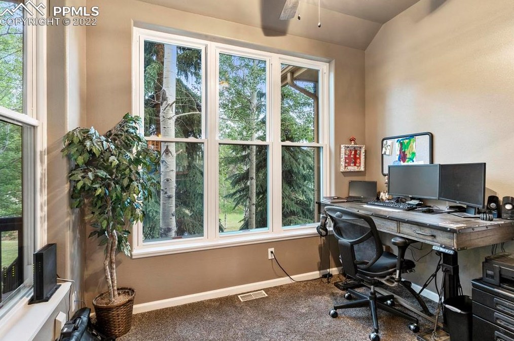 1000 Sun Valley Dr, Woodland Park CO 80863-9076 exterior