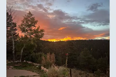 4687 W Highway 24, Florissant, CO 80816 - Photo 46