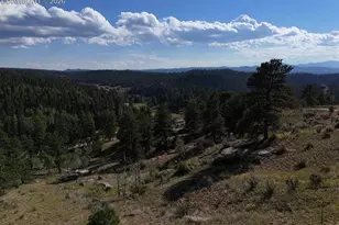 4687 W Hwy 24, Florissant, CO 80816 - Photo 38