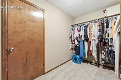 6907 Gayle Lyn Lane, Colorado Springs, CO 80919 - Photo 20