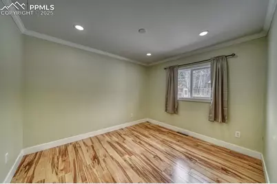 913 N Baldwin Street, Woodland Park, CO 80863 - Photo 14