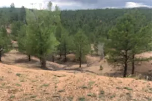 110 Wallace Dr, Florissant, CO 80816 - Photo 30