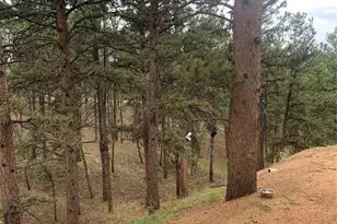 110 Wallace Dr, Florissant, CO 80816 - Photo 44