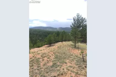 110 Wallace Drive, Florissant, CO 80816 - Photo 32