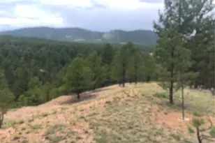 110 Wallace Dr, Florissant, CO 80816 - Photo 32