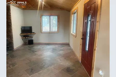 110 Wallace Drive, Florissant, CO 80816 - Photo 16