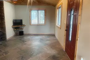110 Wallace Dr, Florissant, CO 80816 - Photo 16